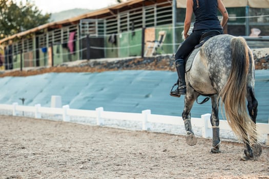 copyspace unrecognizable female rider seen from behind while training her horse in equestrian arena photo