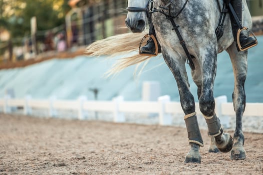 Close-up of an unrecognizable horse being ridden by its rider in the equestrian arena photo