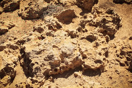 Close up view of corals in Ayia Napa. photo