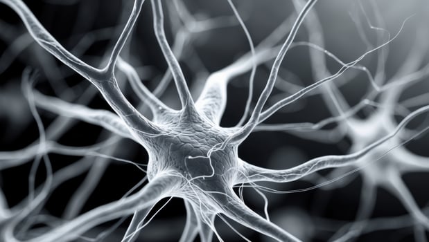Intricate Network of Neuron Cells Microscopic View of Neural Connections and Synaptic Transmission photo