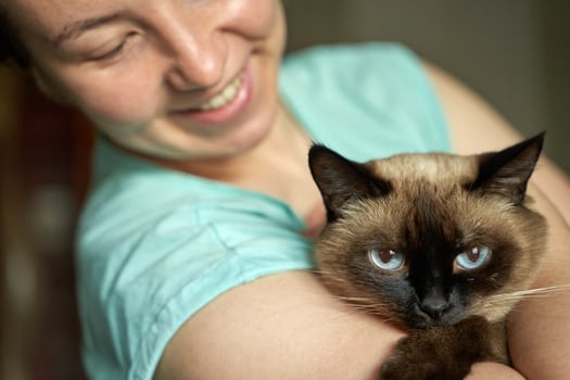 Caucasian female adult smiling while holding siamese cat with blue eyes. photo