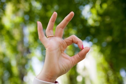 the women hands photo