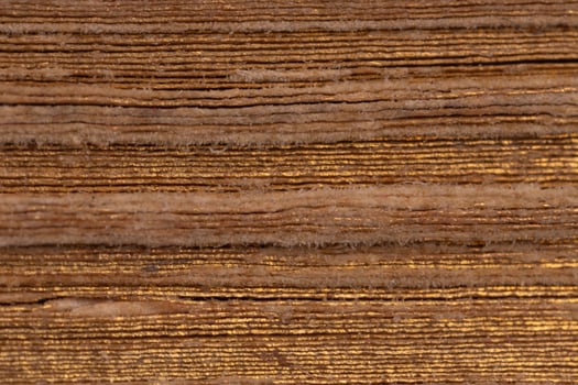 Close up of aged book pages texture photo