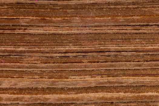 Macro shot of layered aged book pages photo