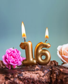 Sweet sixteen chocolate birthday cake decorated with golden glowing lit 16 candles and pink roses. Handmade torte for celebration of a special milestone event. Card design. Selective focus. Copy space photo