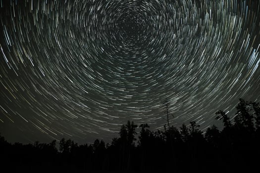 Long exposure captures swirling star trails above a dense forest during a clear night, showcasing the beauty of the cosmos against a silhouette of trees. photo