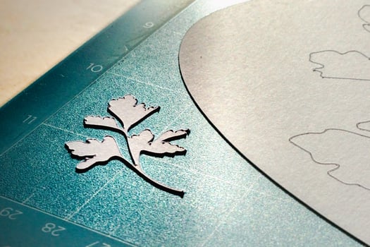 Paper cutting, ornament, design and model cut with a cutting plotter for professional activity or leisure, card, illustration photo