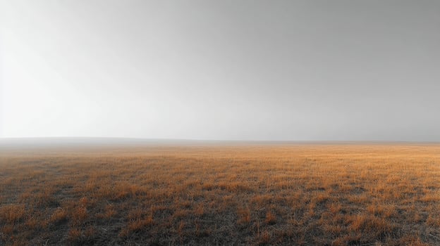 An empty field with grass and a sky photo