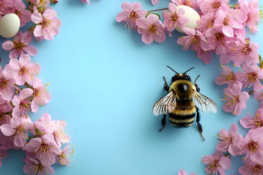 Springtime Blossom with Bumblebee on Blue Background for Nature-Themed Design photo
