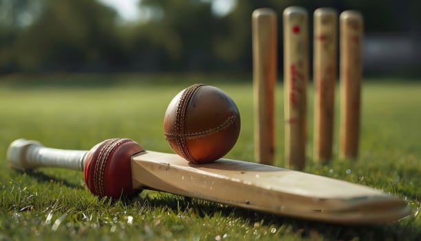 Cricket is a popular sport in india photo