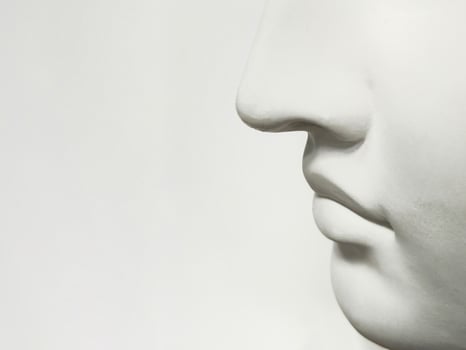 Nose and mouth on a light background, side view, copy space photo