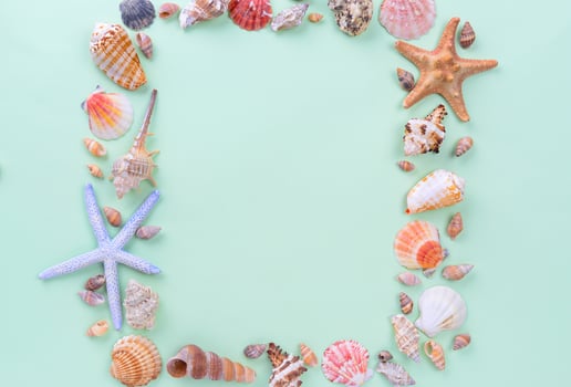 Seashells and starfish frame on green background photo