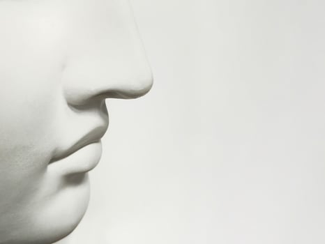 Nose and mouth on a light background, side view, copy space. photo