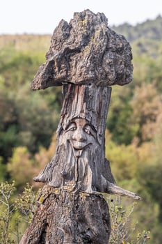 Beautiful stump of the old gray tree with a smile face and knots and cracks. Vertical photo