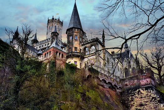 Royalty in the castle photo