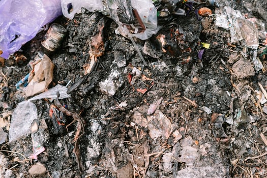 the environmental impact of improper waste disposal. photo