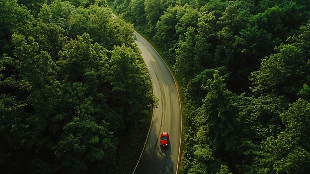 Bird's-Eye View of a Forest Drive photo