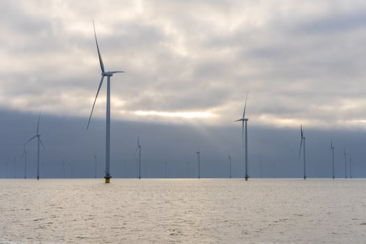 Windmill park in the IJselmeer, Friesland, The Netherlands. photo