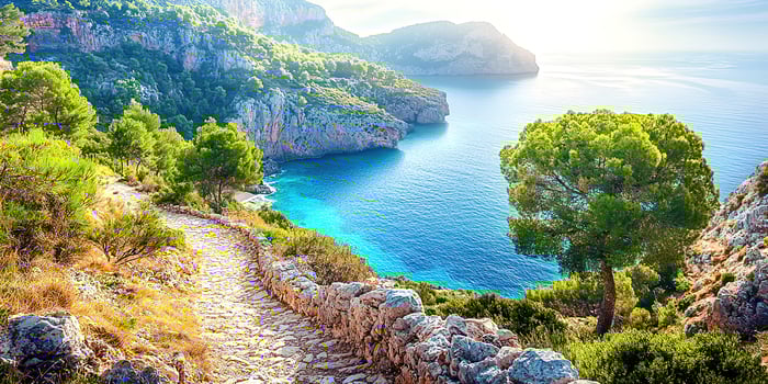 A path leads to the ocean and mountains photo