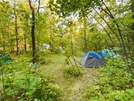 A collection of several tents is located right in the heart of a lush, green forest, surrounded by trees and natural beauty, creating a picturesque scene of outdoor living photo