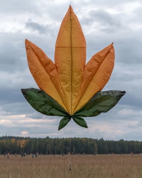 Large orange and green leaf shaped kite flying in a field photo