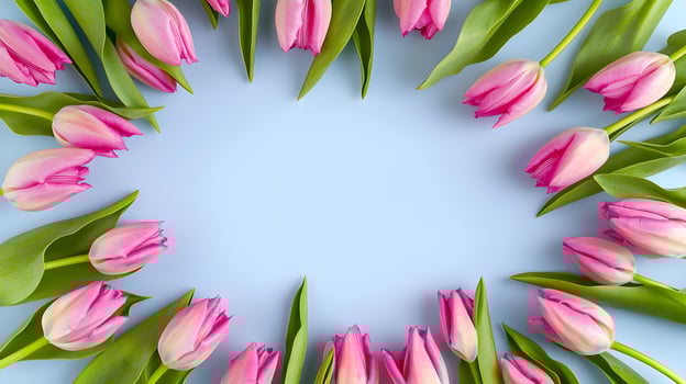 Pink Tulips Arranged in Circle on Light Blue Background photo