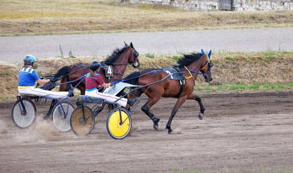 Women jockeys warm up their chariot horses on a summer day at the hippodrome. photo