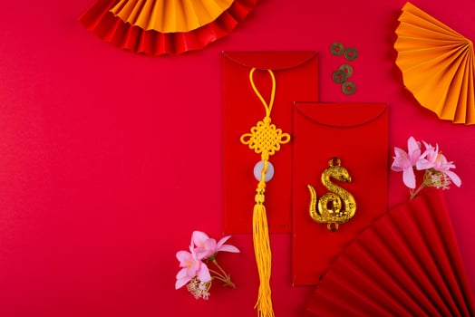 Chinese new year concept. Lunar year of snake photo