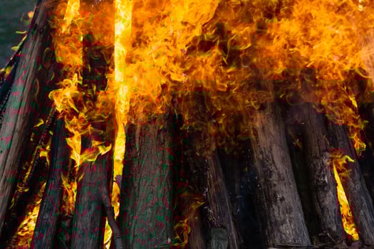 fire flames on a campfire close up photo