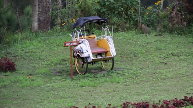 Rustic yellow pedicab with a display only sign surrounded by lush green grass and vibrant plant. photo
