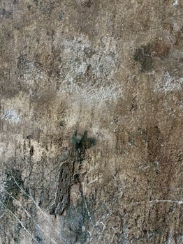 Whispers of the Earth, Intricate Stone Details photo