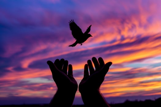 A bird released into a vivid sunset symbolizes freedom and hope photo