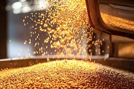 Wheat grains falling from conveyor belt in processing plant photo