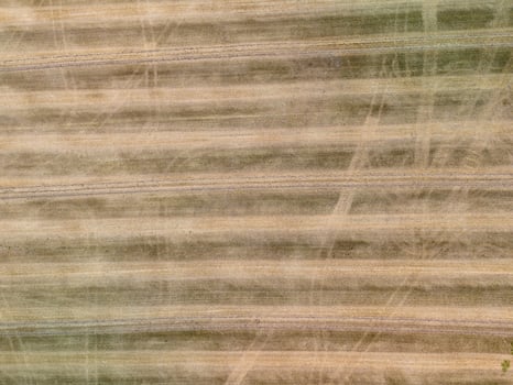 Aerial view of harvested wheat field showing track marks from farming vehicles photo