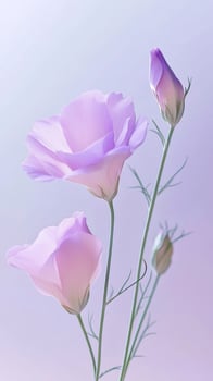delicate purple flowers with green stems on pastel background, floral elegance and nature beauty concept photo