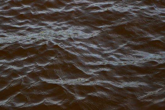 A calm water surface gently rippled by soft waves, illuminated beautifully by natural light photo