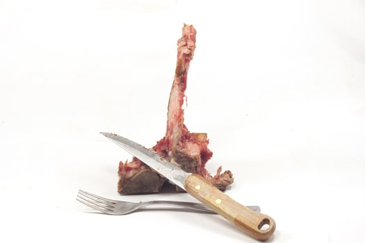 Florentine steak bones photo