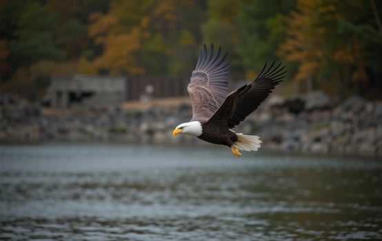 A bald eagle flying over a body of water photo