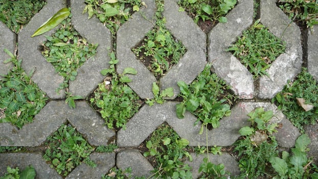 paving grass material texture pattern photo