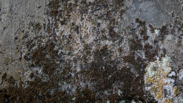 concrete ccement texture pattern photo