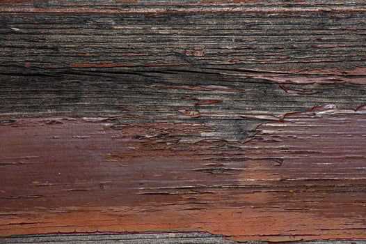Textures of weathered wood reveal nature's artistry in rich tones and patterns photo