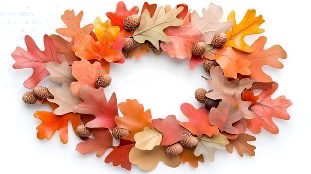 Autumn Wreath with Colorful Leaves and Acorns on White Background photo