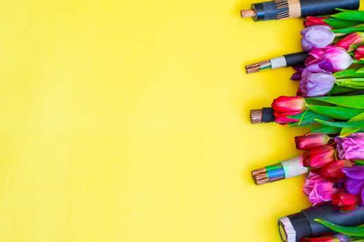 closeup of a electric cable on yellow background with tulip photo