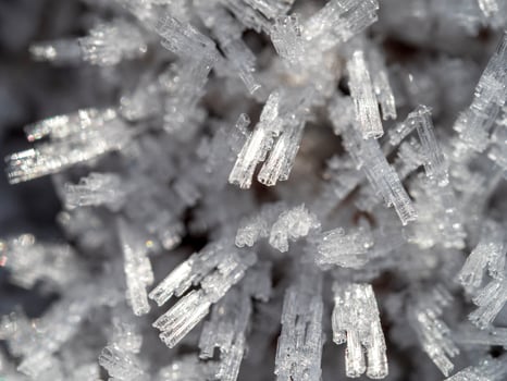 Ice crystals in a garden on a frosty morning photo