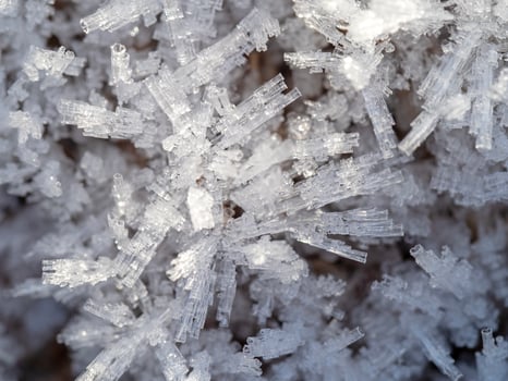 Ice crystals on a frosty morning photo