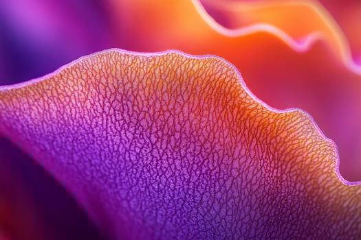 Macro photography of vibrant flower petal texture with intricate details in orange pink and yellow hues enhanced by natural lighting photo