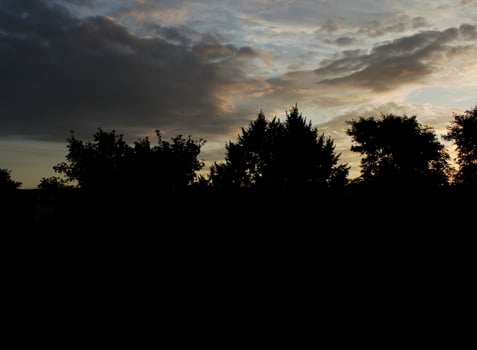 Different impressive and colorful clouds in the morning with tree silhouettes. photo