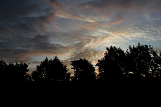 Different impressive and colourful clouds in the morning with some tree silhouettes. photo