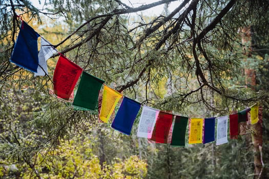 Colorful flags gracefully dangle from a robust tree branch, producing a captivating display that greatly enhances and beautifies the surrounding area and attracts attention photo