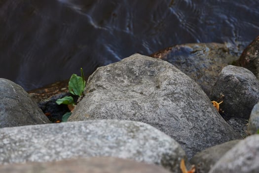 The Unparalleled Beauty of Nature Rocks Gracefully Positioned Next to Calm and Tranquil Water photo